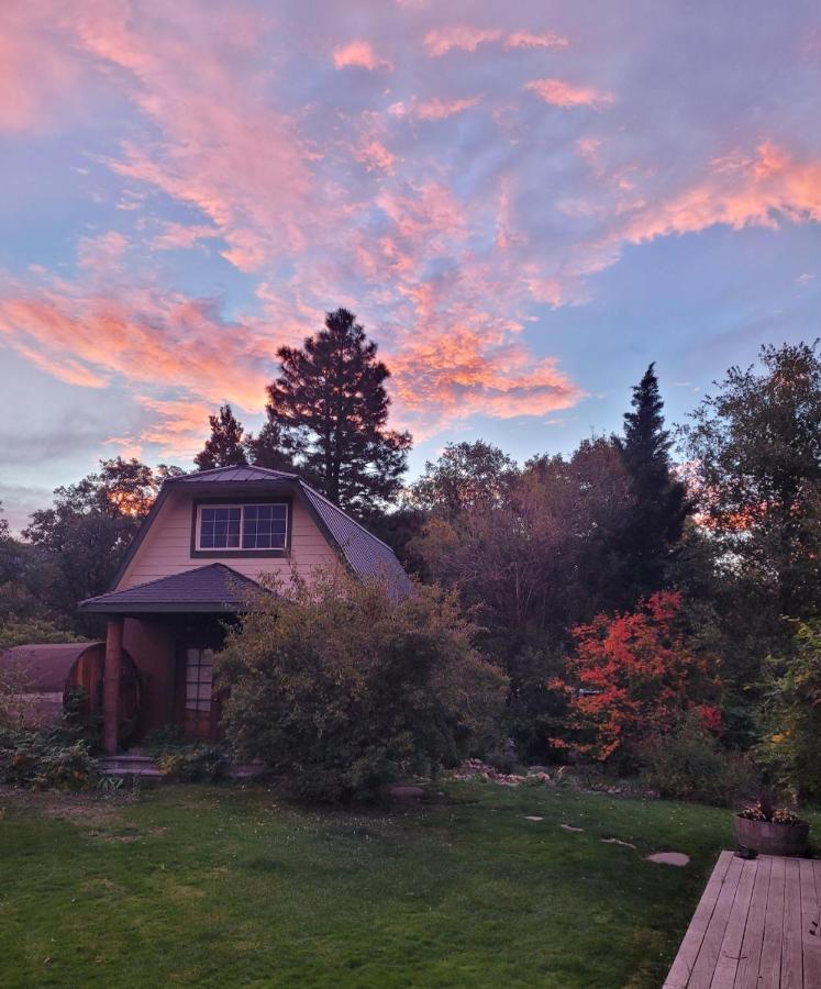 Angel Cottage With A Sauna Or The Cozy With A Jacuzzi Tub, Both Are Studios With A View Of Mount Shasta Εξωτερικό φωτογραφία