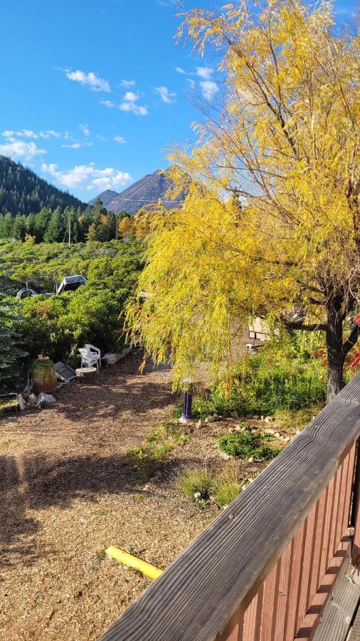 Angel Cottage With A Sauna Or The Cozy With A Jacuzzi Tub, Both Are Studios With A View Of Mount Shasta Εξωτερικό φωτογραφία
