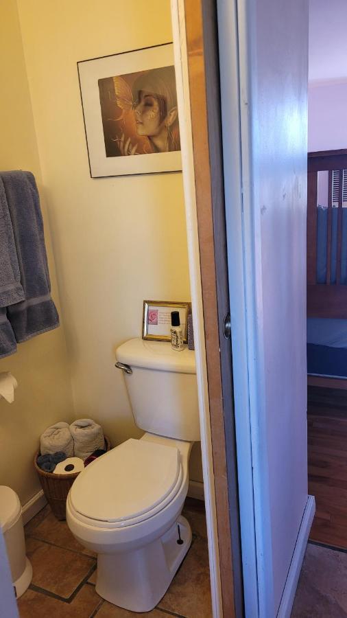 Angel Cottage With A Sauna Or The Cozy With A Jacuzzi Tub, Both Are Studios With A View Of Mount Shasta Εξωτερικό φωτογραφία